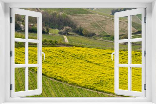 Fototapeta Naklejka Na Ścianę Okno 3D - Amazing landscape of the vineyards of Langhe in Piemonte in Italy during spring time. The wine route. An Unesco World Heritage. Natural contest. Rows of vineyards with yellow rapeseed fields