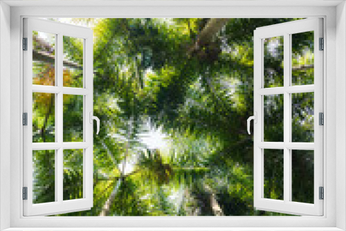 Fototapeta Naklejka Na Ścianę Okno 3D - Palm tree jungle near Muse Lake in Qiongzhong, Hainan, China