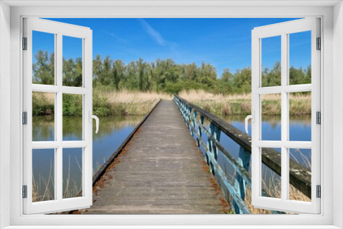 Fototapeta Naklejka Na Ścianę Okno 3D - A serene wooden boardwalk with rustic blue railings stretches across a tranquil pond surrounded by lush greenery under a clear blue sky.