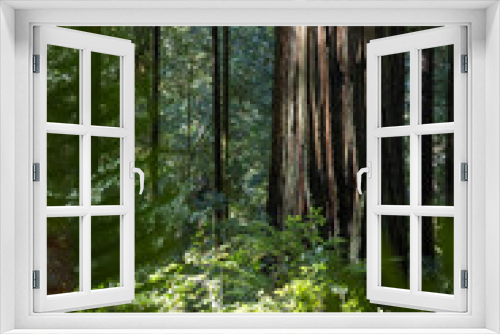 Fototapeta Naklejka Na Ścianę Okno 3D - A forest with a large tree in the middle. The tree is surrounded by green leaves and branches
