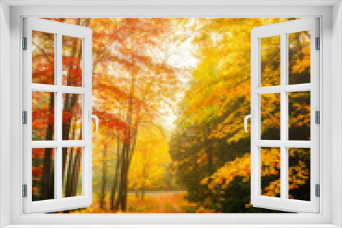 Fototapeta Naklejka Na Ścianę Okno 3D - Misty Autumn Day in a Forest