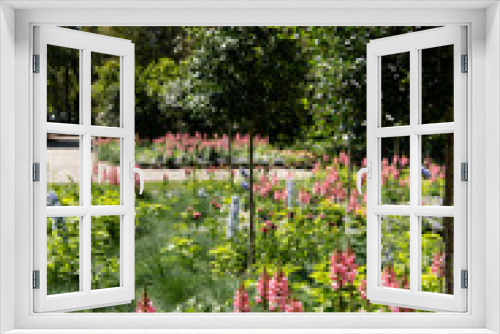 Fototapeta Naklejka Na Ścianę Okno 3D - Blooming Garden and Swamp at Magnolia Plantation