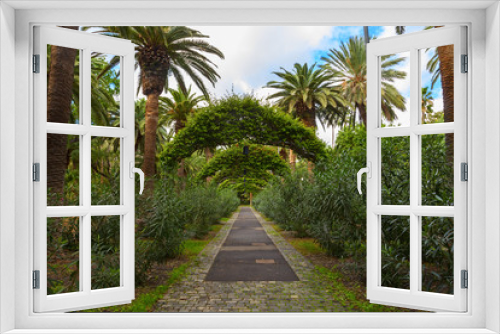 Fototapeta Naklejka Na Ścianę Okno 3D - santa cruz garden
