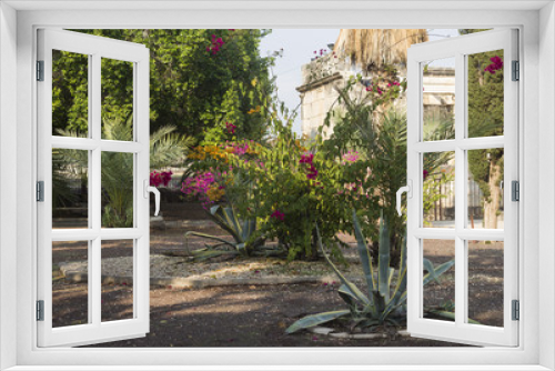 Fototapeta Naklejka Na Ścianę Okno 3D - flowerbed