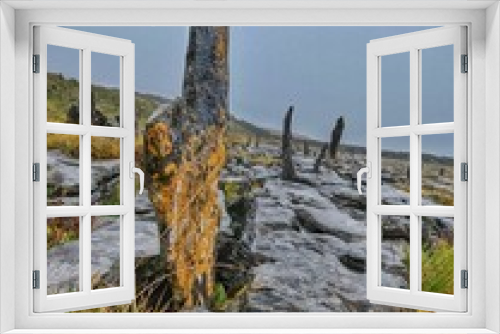 Fototapeta Naklejka Na Ścianę Okno 3D - Beautiful landscape of the Burren national park on a gloomy day in Northern Ireland