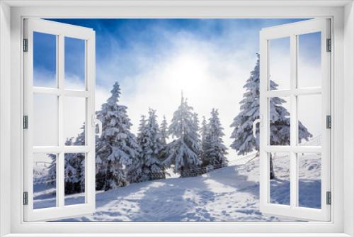 Fototapeta Naklejka Na Ścianę Okno 3D - Pine trees covered in snow