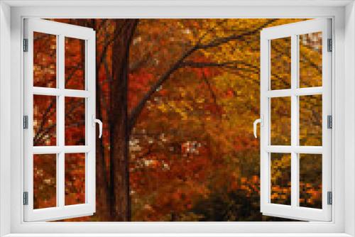 Fototapeta Naklejka Na Ścianę Okno 3D - 가을 공원 나무