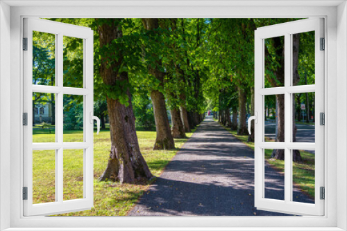 Fototapeta Naklejka Na Ścianę Okno 3D - walking path in a city park with old green trees in summer sunny day