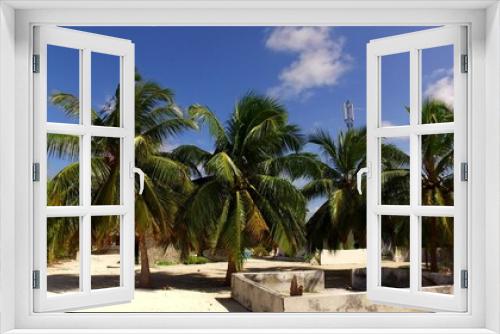 Fototapeta Naklejka Na Ścianę Okno 3D - Palm trees under a blue sky in Asia