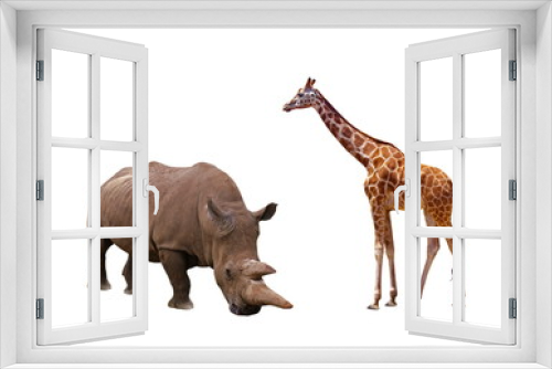 Fototapeta Naklejka Na Ścianę Okno 3D - animals