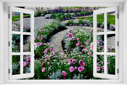 Fototapeta Naklejka Na Ścianę Okno 3D - różowe, białe i fioletowe kwiaty w wiejskim ogrodzie, kwietnik w ogrodzie pałacowym, Dahlia,  Gypsophila, colorfull flower in cottage garden, flowerbed in garden