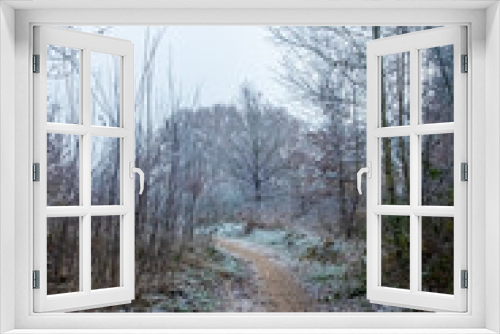 Fototapeta Naklejka Na Ścianę Okno 3D - This image leads the viewer down a narrow, winding path through a woodland scene touched by frost. The muted colors of a cold morning are present, with the frost lending a delicate white edging to the