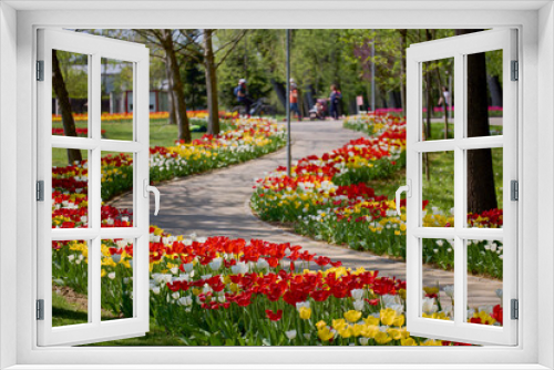 Fototapeta Naklejka Na Ścianę Okno 3D - beautiful landscape in the park, arrangement with tulips in spring.