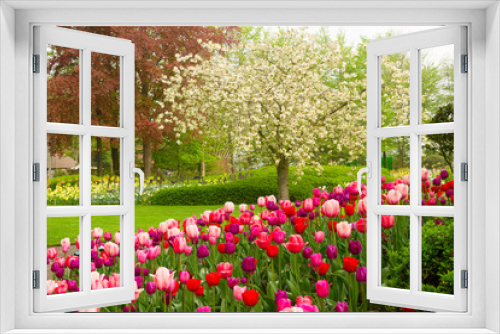 Fototapeta Naklejka Na Ścianę Okno 3D - spring garden with blooming tree abd tulips