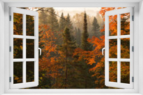 Fototapeta Naklejka Na Ścianę Okno 3D - Northwoods Autumn Dawn