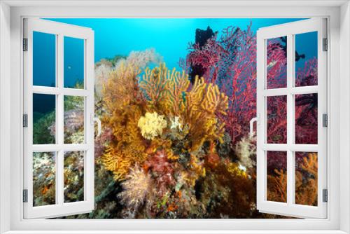 Fototapeta Naklejka Na Ścianę Okno 3D - Reef scenic with colorful seafans and Raja Ampat Indonesia.