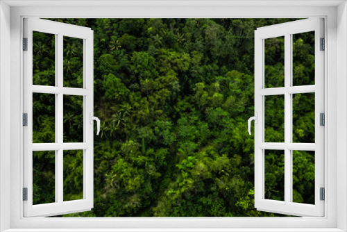 Fototapeta Naklejka Na Ścianę Okno 3D - Aerial view of Dense natural jungle trees on the mountain hills during cloudy day. Heterogeneous forest. Concept for International Day of Forest, World Environment Day, Asian Rainforest.