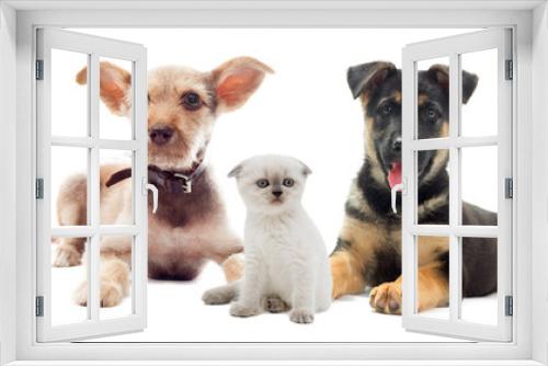 Fototapeta Naklejka Na Ścianę Okno 3D - set pets