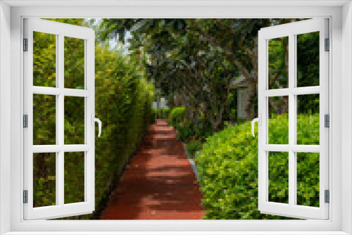 Fototapeta Naklejka Na Ścianę Okno 3D - Red path in the garden in hot sunny weather between trees and bushes at a tropical resort.