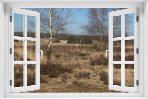 Fototapeta Naklejka Na Ścianę Okno 3D - Springtime on the. Veluwe near Velp