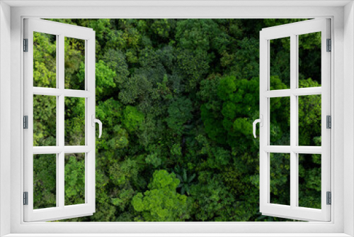 Fototapeta Naklejka Na Ścianę Okno 3D - Aerial view of beautiful tropical forest mountain landscape in summer