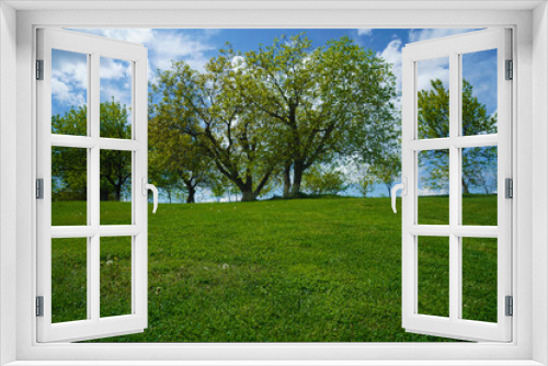 Fototapeta Naklejka Na Ścianę Okno 3D - Countryside landscape. Beautiful typical countryside summer landscape. Green field and blue sky with clouds. Nature composition. Hilly green landscape view with green grass and beautiful cloudy sky