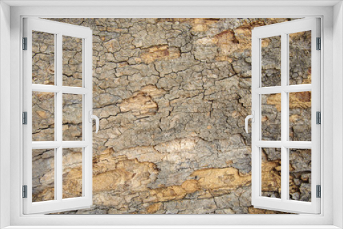 Fototapeta Naklejka Na Ścianę Okno 3D - Tree bark background