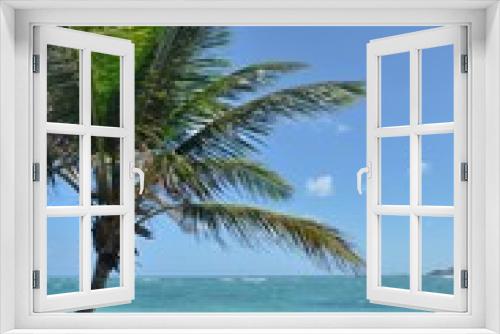 Fototapeta Naklejka Na Ścianę Okno 3D - Palm tree on caribbean beach