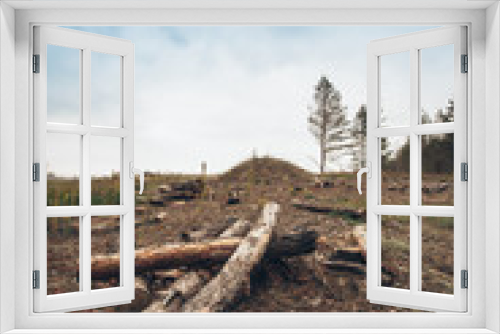 Fototapeta Naklejka Na Ścianę Okno 3D - old sawed logs