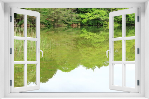 Fototapeta Naklejka Na Ścianę Okno 3D - 池の水面に映る新緑の森