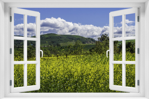 Fototapeta Naklejka Na Ścianę Okno 3D - Beautiful Meadow and Spring Skies