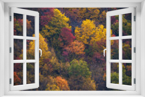 Fototapeta Naklejka Na Ścianę Okno 3D - Autumn Symphony. A Collage of Nature's Vibrant Palette.