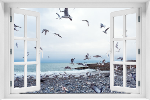 Fototapeta Naklejka Na Ścianę Okno 3D - gulls on the sea