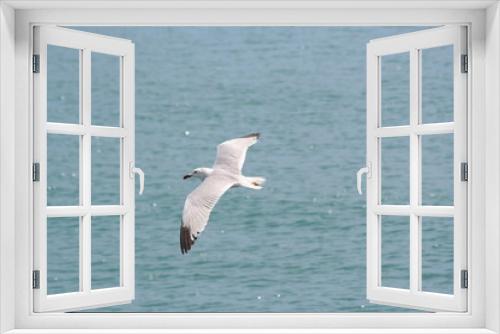 Fototapeta Naklejka Na Ścianę Okno 3D - Seagull soaring above the blue sea.