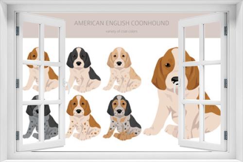 Fototapeta Naklejka Na Ścianę Okno 3D - American englisn coonhound puppy all colours clipart. Different coat colors set