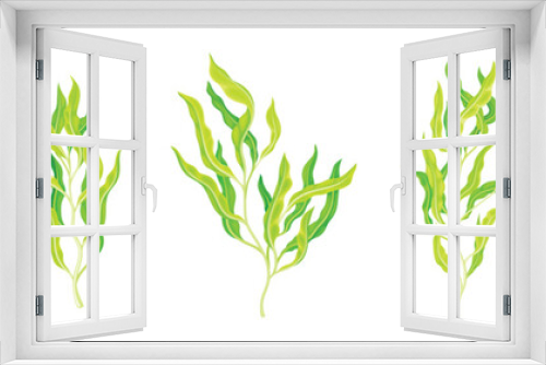 Fototapeta Naklejka Na Ścianę Okno 3D - Green Hijiki Seaweed and Algae Plant Vector Set