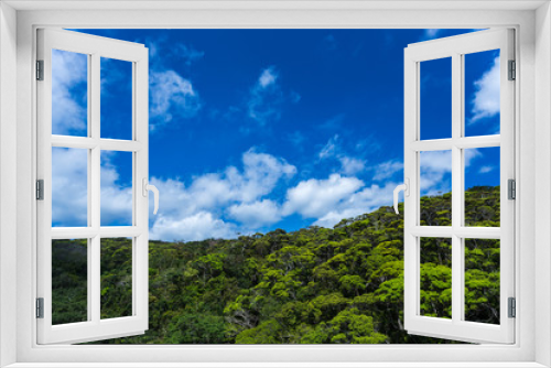 Fototapeta Naklejka Na Ścianę Okno 3D - 新緑の山と青空