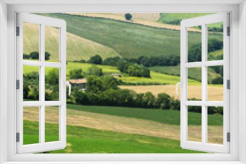 Fototapeta Naklejka Na Ścianę Okno 3D - Summer landscape in Marches (Italy)