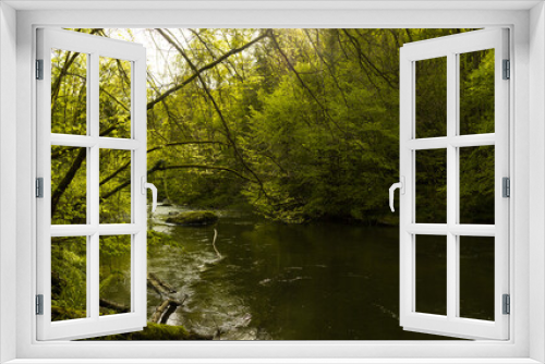 Fototapeta Naklejka Na Ścianę Okno 3D - Spring forest details landscape