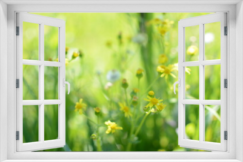 Fototapeta Naklejka Na Ścianę Okno 3D - Yellow spring meadow flowers in green bokeh grass spring bright meadow
