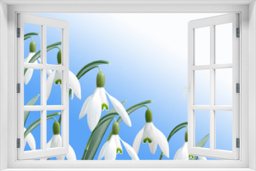 Fototapeta Naklejka Na Ścianę Okno 3D - spring white snowdrop flower with blue background