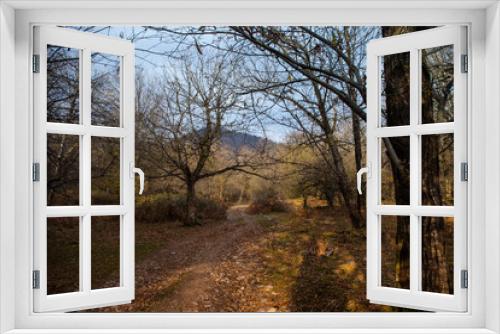 Fototapeta Naklejka Na Ścianę Okno 3D - Landscape with beautiful fog in forest on hill or Trail through a mysterious winter forest with autumn leaves on the ground. Road through a winter forest. Magical atmosphere. Azerbaijan nature