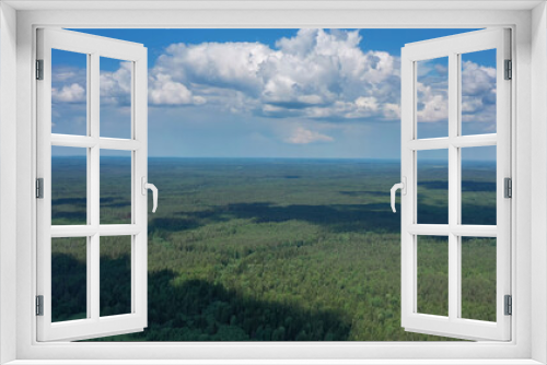 Fototapeta Naklejka Na Ścianę Okno 3D - Aerial view of summer forest