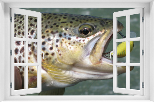 Fototapeta Naklejka Na Ścianę Okno 3D - Fishing