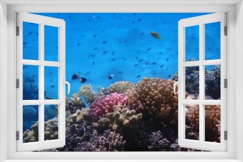 Fototapeta Naklejka Na Ścianę Okno 3D - color life under red sea