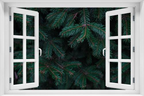 Fototapeta Naklejka Na Ścianę Okno 3D - Christmas branches