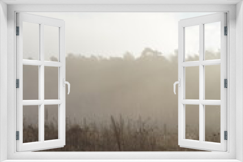 Fototapeta Naklejka Na Ścianę Okno 3D - misty morning field forest