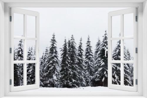 Fototapeta Naklejka Na Ścianę Okno 3D - Winter Coniferous Trees