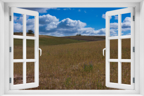 Fototapeta Naklejka Na Ścianę Okno 3D - landscape, view, rural, spring, plants, clouds, sky, flora, fiel