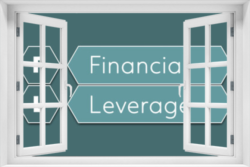 FL Financial leverage An Acronym Abbreviation of a financial term. Illustration isolated on cyan blue green background